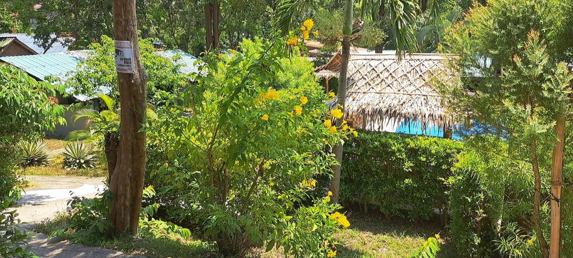Siam Flora Resort Ko Lanta Værelse billede