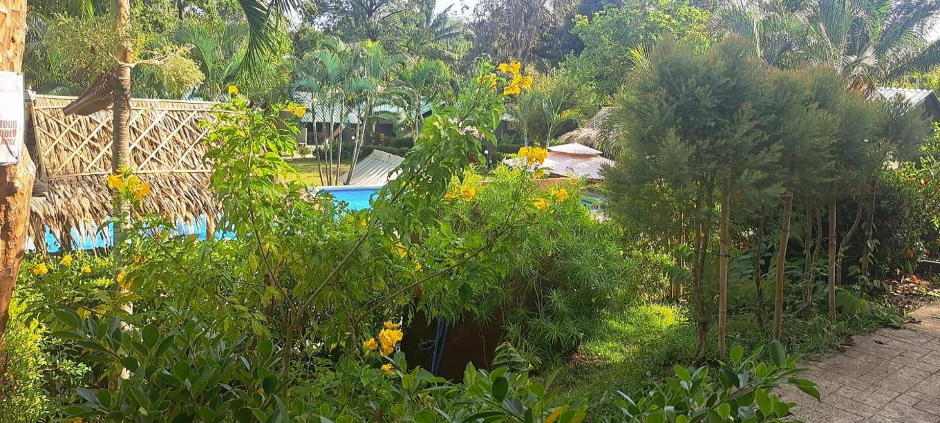 Siam Flora Resort Ko Lanta Værelse billede